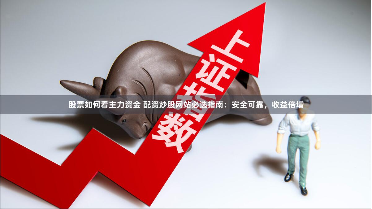 股票如何看主力资金 配资炒股网站必选指南：安全可靠，收益倍增