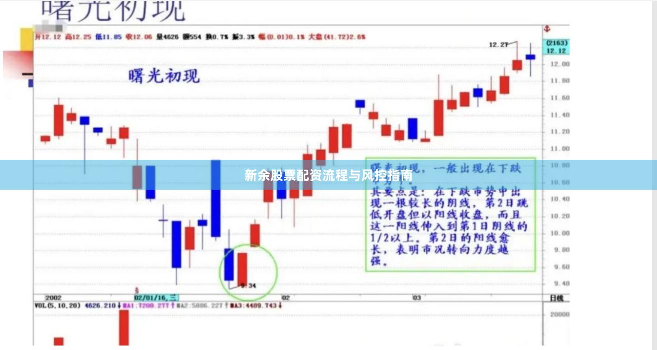 新余股票配资流程与风控指南