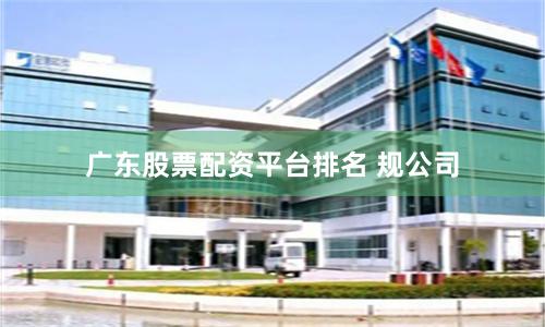 广东股票配资平台排名 规公司